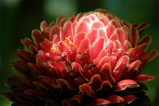 Natural Wonders of Barbados Small-Group or Private Tour With Harrisons Cave - Reviews