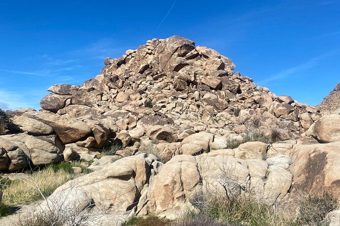 Natural Wonders Walk: Plants, Animals and Rocks of Joshua Tree - Good To Know