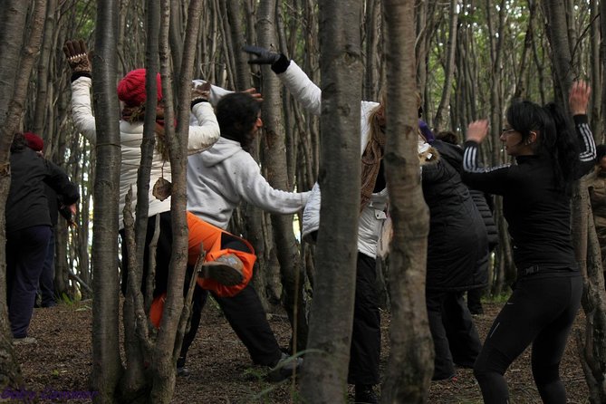 Naturaldanza Dance in Nature - Benefits of Dancing in Nature