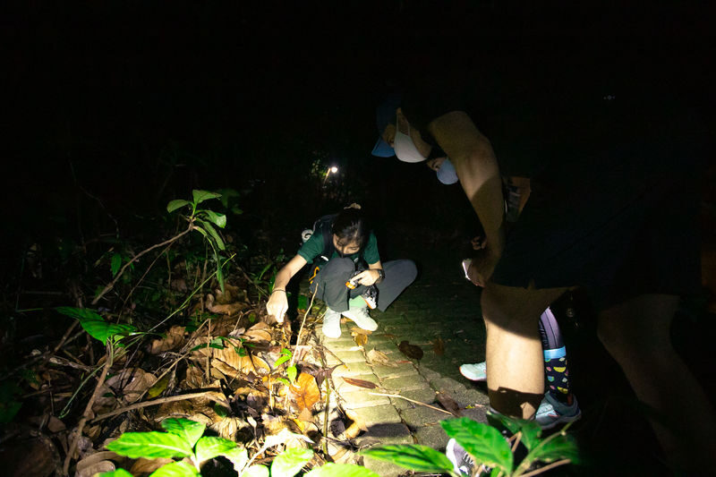 Naturalist Night Adventure by The Untamed Paths - Is the price worth it?