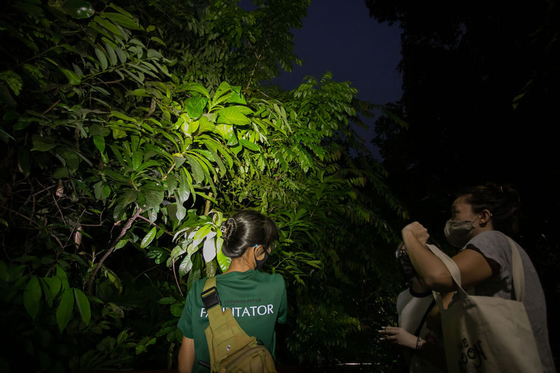 Naturalist Night Adventure by The Untamed Paths - Who will enjoy this night walk