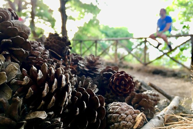 Naturalistic Excursion to Ustica - Additional Information