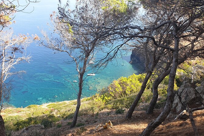 Naturalistic Excursion to Ustica - General Information