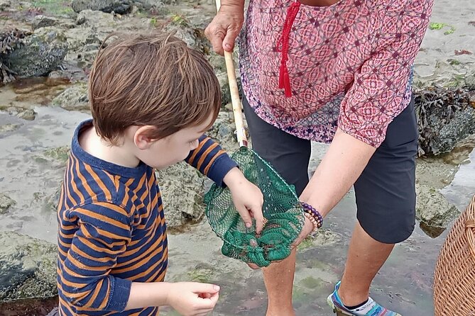 Nature Activity in the Bay of St Brieuc - The Sum Up