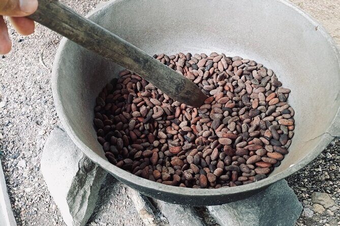 Nature and Adventure Safari Immersion in Dominican Life - FAQ