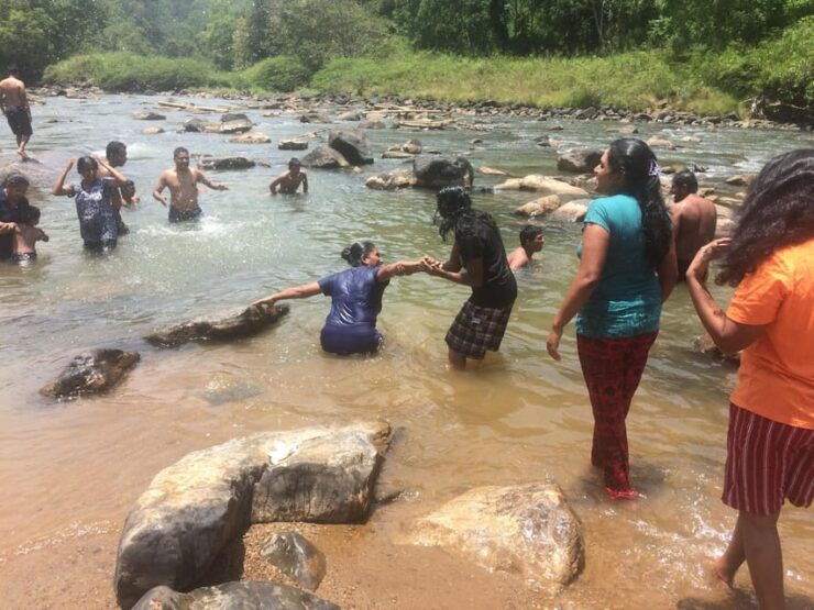 Nature and Adventure Tour Kithulagala and Nawalapitiya - Activities and Highlights