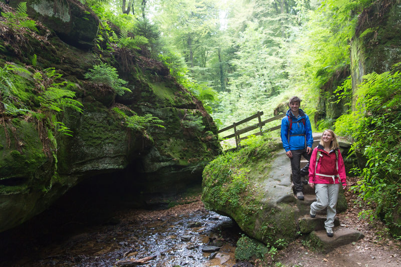 Nature and Castle Day Tour in Luxembourg - Echternach: a final old-town stop