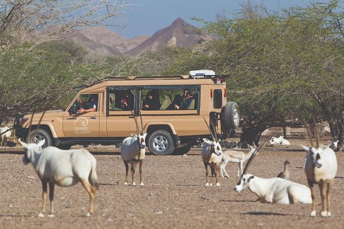 Nature and Wildlife Drive With Lunch- Must Do Experience - Scenic Drive