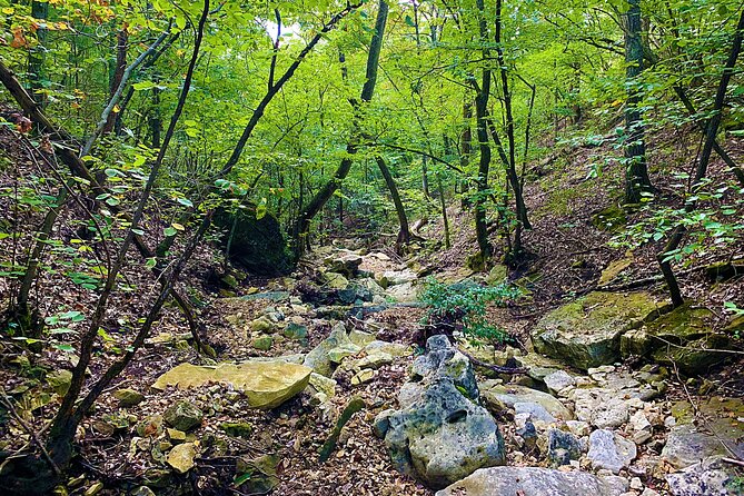 Nature and Wildlife Self-Guided Golf Car Tour in Reeds Spring - Tour Meeting Information