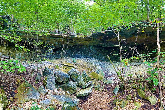 Nature and Wildlife Self-Guided Golf Car Tour in Reeds Spring - Tour Details