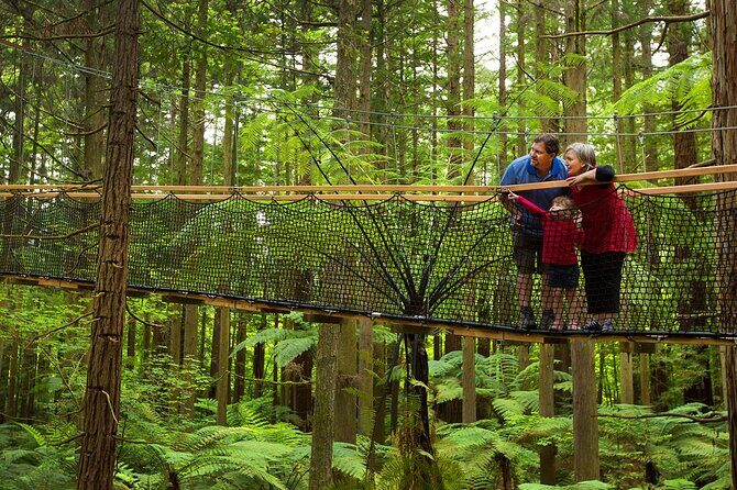 Nature at its best Lake Tarawera Treetop Walk and Forest Spas - Who Will Love This Tour?