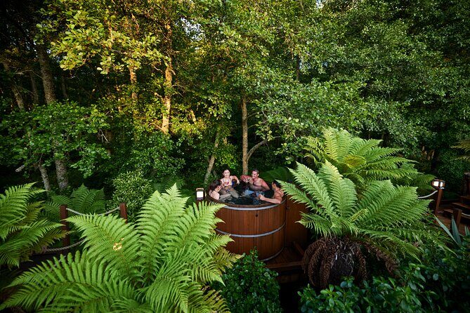 Nature at its best Lake Tarawera Treetop Walk and Forest Spas - Final Thoughts