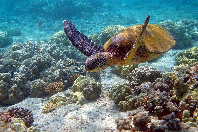 Nature Day, Sian Kaan Biosphere Tour! Round Transportation from Tulum City - Final Thoughts: Is It Worth It?