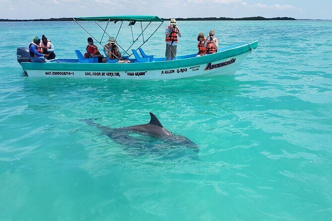 Nature Day, Sian Kaan Biosphere Tour! Round Transportation from Tulum City - Frequently Asked Questions