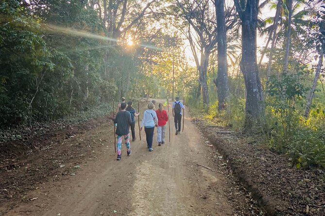 Nature & Forest Therapy Guided Walk in Puerto Viejo - Location Details