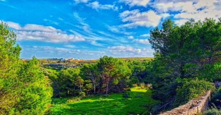 Nature Highlights Private Walking Tour with Transport - FAQs