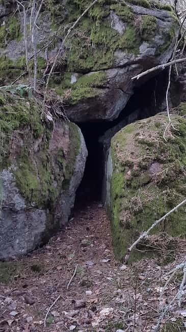 Nature Hike from Stockholm - What’s Included and Practicalities