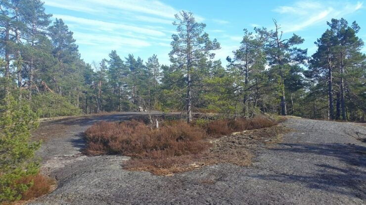 Nature Hike From Stockholm - Experience Highlights