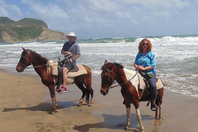 Nature & Historical Horseback Riding Tours St. Lucia - Tour Highlights
