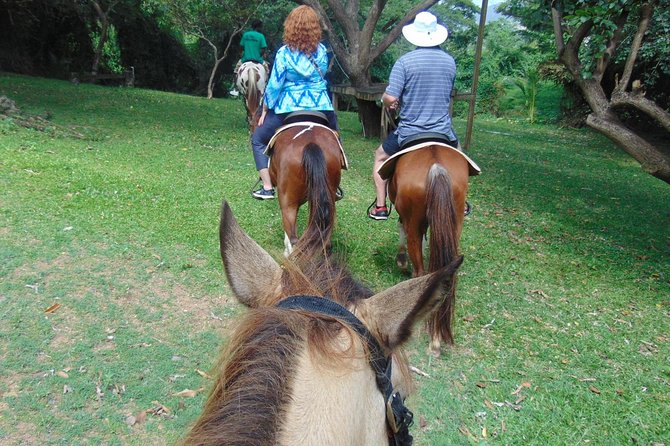 Nature & Historical Horseback Riding Tours St. Lucia - Weather and Changes
