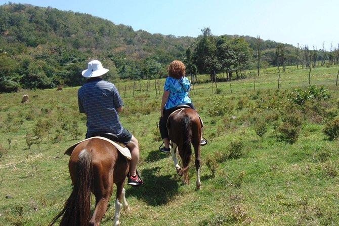 Nature & Historical Horseback Riding Tours St. Lucia - The Sum Up