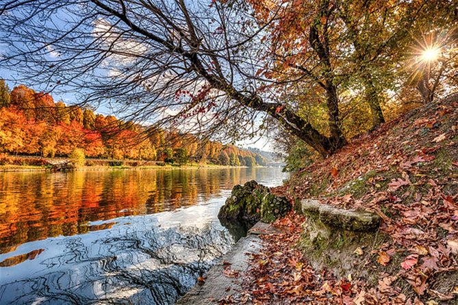 Nature, History and Art at an Unique Turins PARK - Tour Details