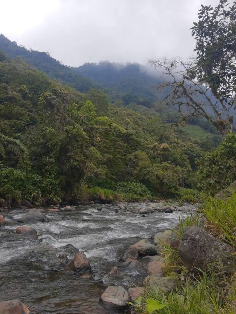 Nature, Hummingbirds, and Local Food in A Day of Adventure - Offroad Adventure Through Diverse Landscapes