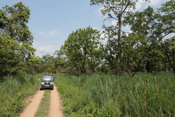 Nature Jungle Safari in Chitwan National Park 2 Night 3 Days - Activity Details and Options