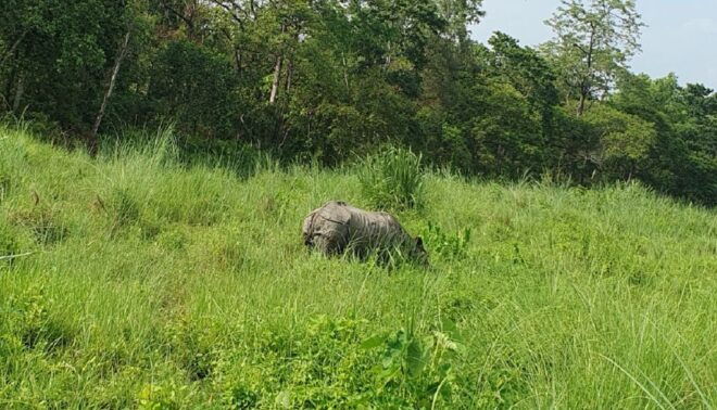 Nature Jungle Safari in Chitwan National Park 2 Night 3 Days - Inclusions