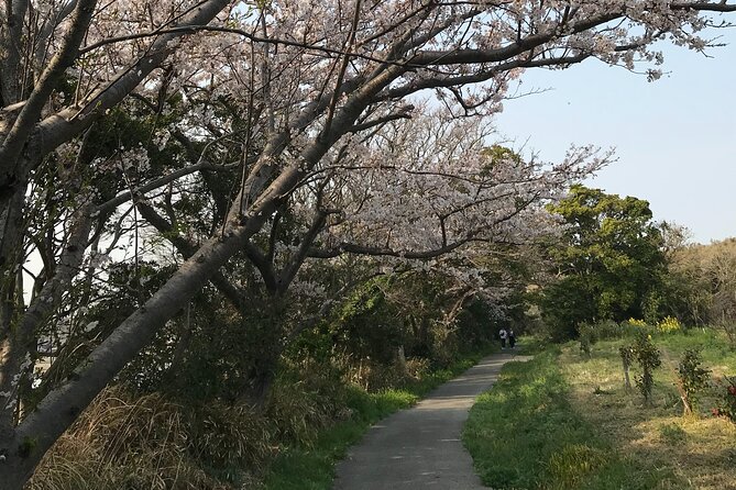 Nature Observation, Tumulus, Arts, Kobo Trails Tour of Sakushima - Tour Details