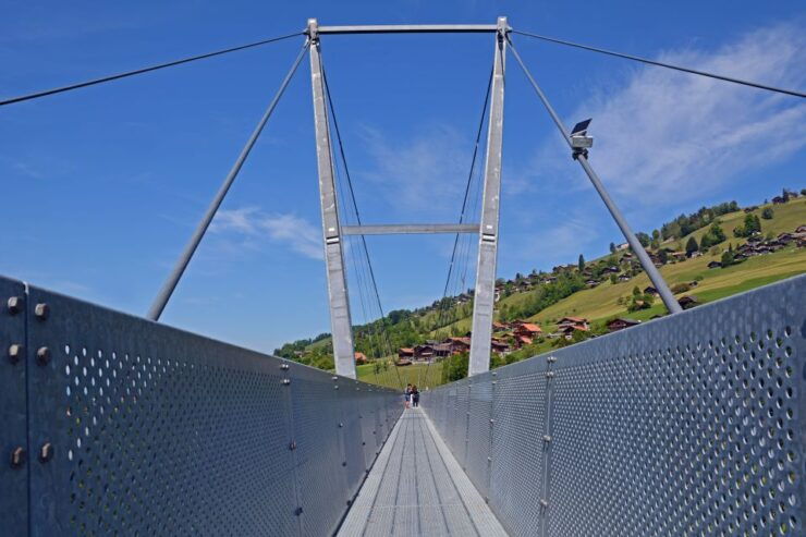 Nature Park Blue Lake, Panorama Bridge and Lake Thun Cruise - Experience Highlights