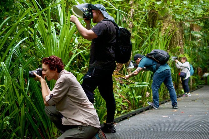 Nature Photography Guided Walks: Cairns  - Cairns & the Tropical North - Inclusions and Meeting/Pickup Information