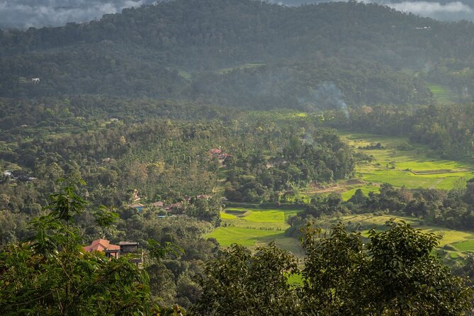 Nature & Spiritual Trails of Coorg (2 Hours Guided Walking Tour) - Good To Know