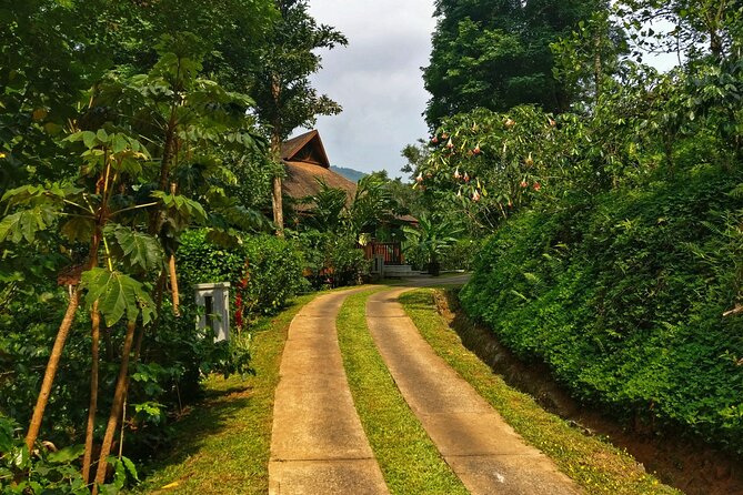 Nature & Spiritual Trails of Coorg (2 Hours Guided Walking Tour) - Price Details