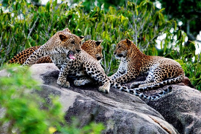 Nature Sri Lanka - Participants and Accessibility