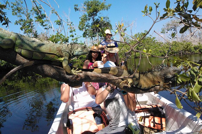 Nature Sun and 5 Beaches in the Magic Town of Mazunte - Unwind and Relax at Mazuntes Stunning Beaches