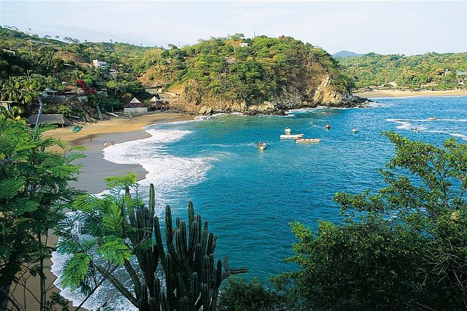 Nature Sun and 5 Beaches in the Magic Town of Mazunte - Common Questions