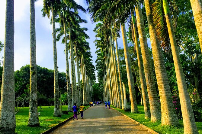 Nature Thrills - Good To Know