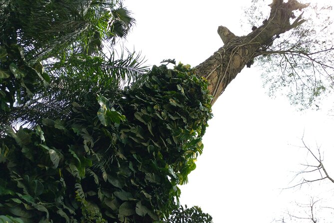 Nature Thrills - Cancellation Policy