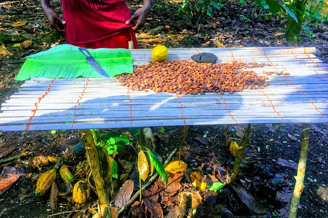 Nature Thrills - Frequently Asked Questions