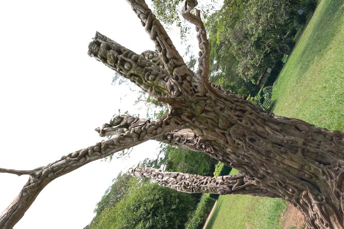 Nature Thrills - The Sum Up