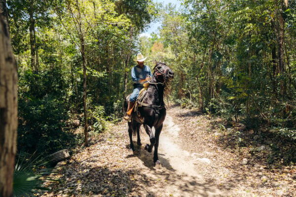 Nature Tour - Optional Extras