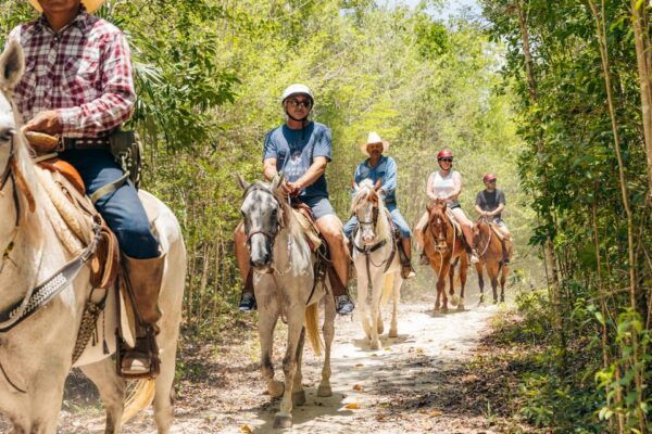 Nature Tour - Frequently Asked Questions