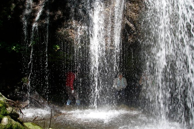 Nature Tour Around Waterfalls That Exudes From the Beech Forest Nishiwaga Town, Iwate Prefecture - Tour Inclusions
