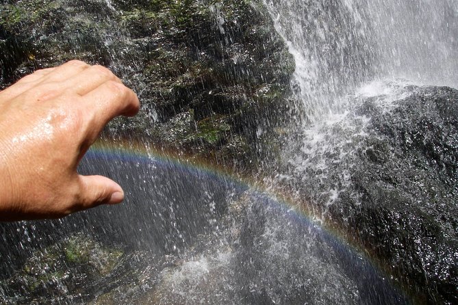 Nature Tour Around Waterfalls That Exudes From the Beech Forest Nishiwaga Town, Iwate Prefecture - Frequently Asked Questions