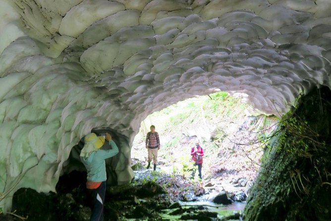 Nature Tour Around Waterfalls That Exudes From the Beech Forest Nishiwaga Town, Iwate Prefecture - The Sum Up