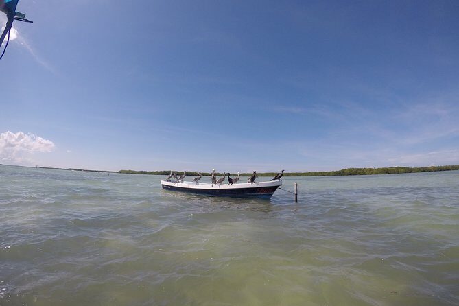 Nature Tour at Las Coloradas and Rio Lagartos Biosphere - FAQs