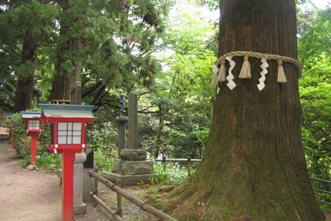Nature Tour at Mt. Takao - Inclusions and Pricing