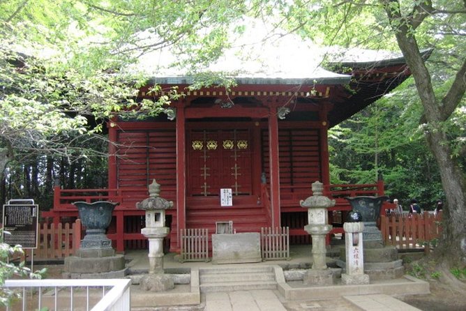 Nature Tour at Mt. Takao - The Sum Up