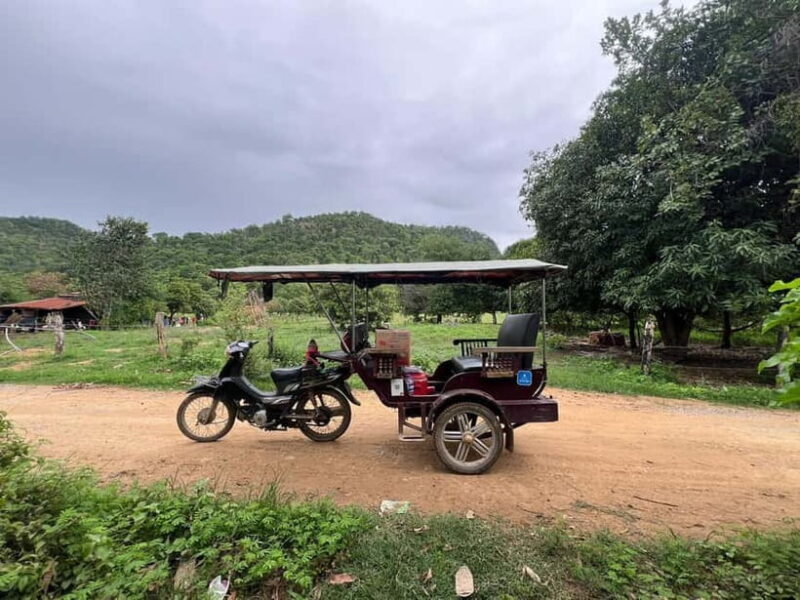 Nature tour through Battambang/Local area and landmarks - A Deep Dive into the Battambang Experience